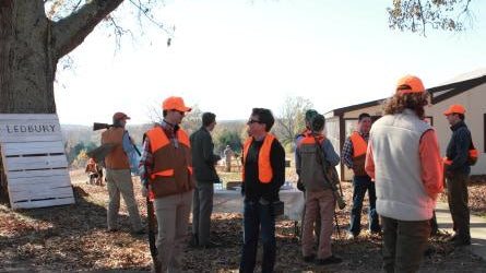 Quail Hunt 2013