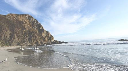 The Golden Coast