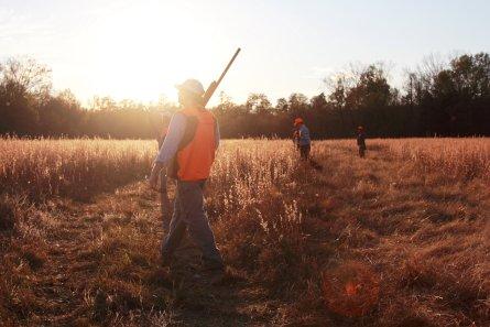 Video: The Ledbury Quail Hunt