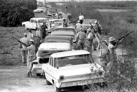 Gunning for White-Winged Doves, 1961
