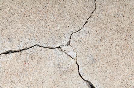 Earthquakes and Politics