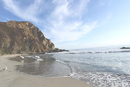 The Golden Coast