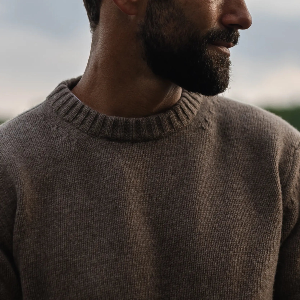 A close-up of a man wearing an Italian merino wool brown knit crewneck sweater, shown from the chest up against a soft, blurred outdoor background.