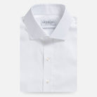 White dress shirt in Thomas Mason Giza 87 Egyptian cotton - Ledbury Carlyle fine twill custom fit
