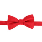 Trafalgar Sutton Solid Color Silk Bow Tie Bowtie- Ledbury